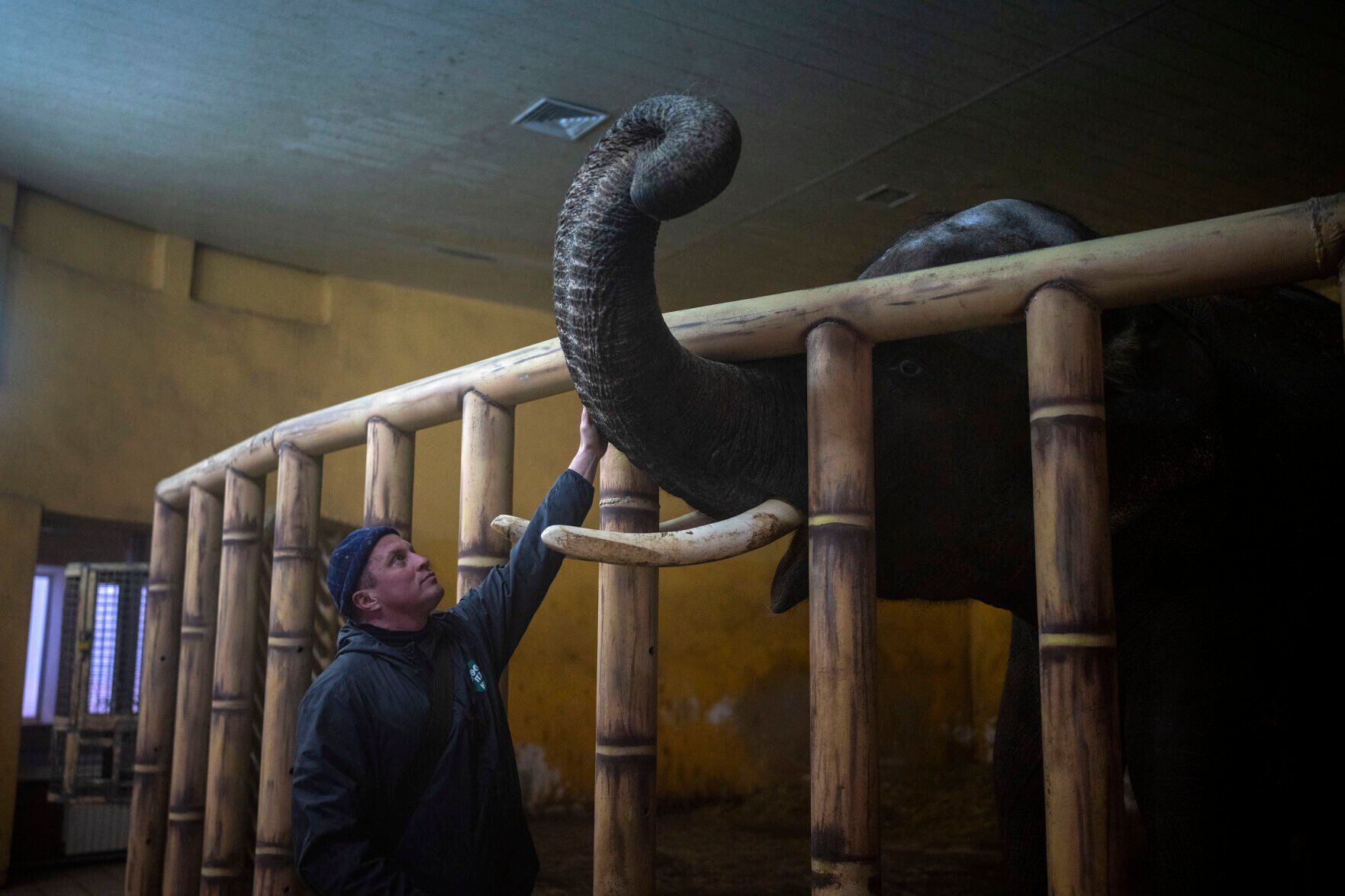Ukraine War 100 Days Photo Gallery